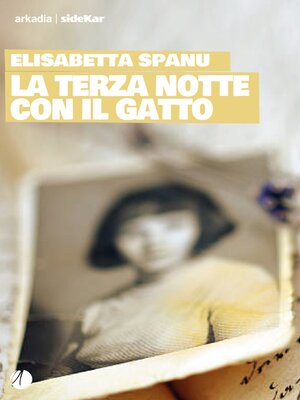 cover image of La terza notte con il gatto